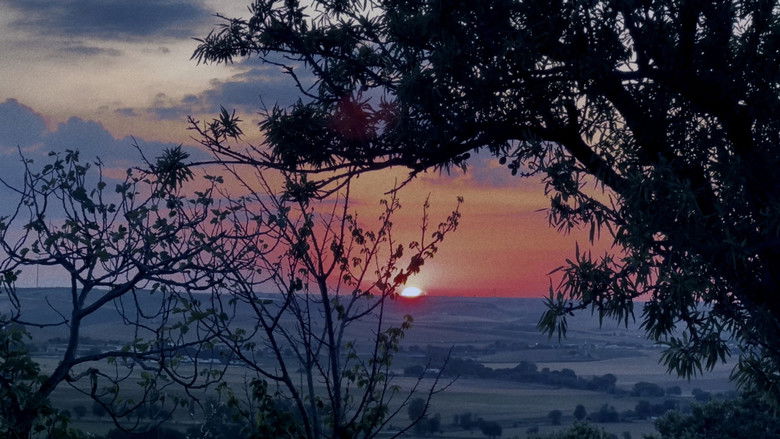 кадр из фильма Mother