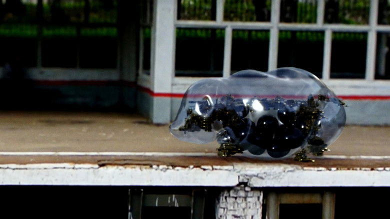 кадр из фильма Смерть меня