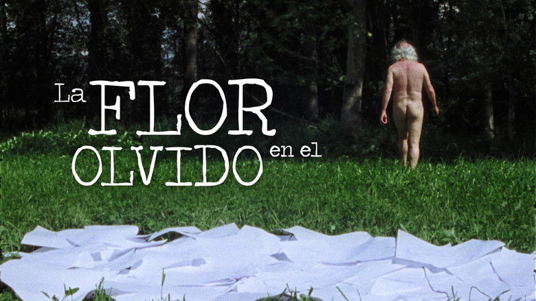 кадр из фильма La flor en el olvido