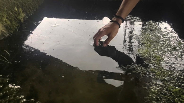 кадр из фильма Psychical Pearls