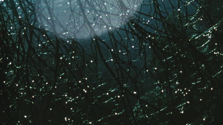 кадр из фильма Compline