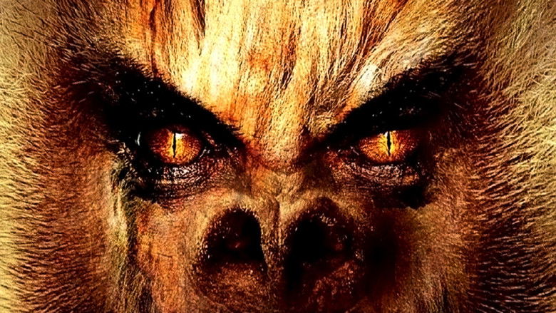 кадр из фильма Shakma