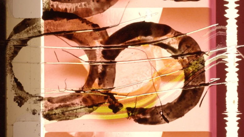 кадр из фильма can i get a number 3 please