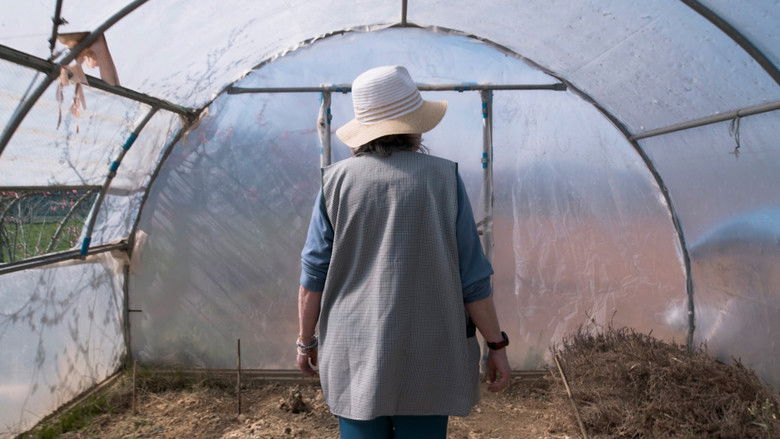 кадр из фильма Cals Avis