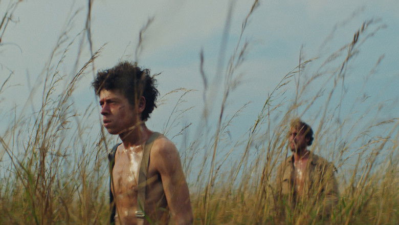 кадр из фильма Москит