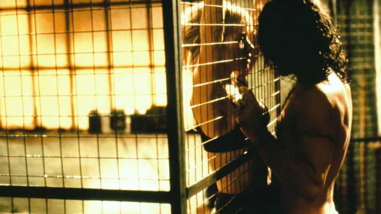 кадр из фильма Незнакомец