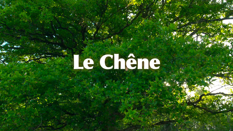 кадр из фильма Le Chêne