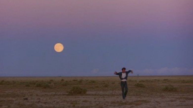 кадр из фильма Пустоши