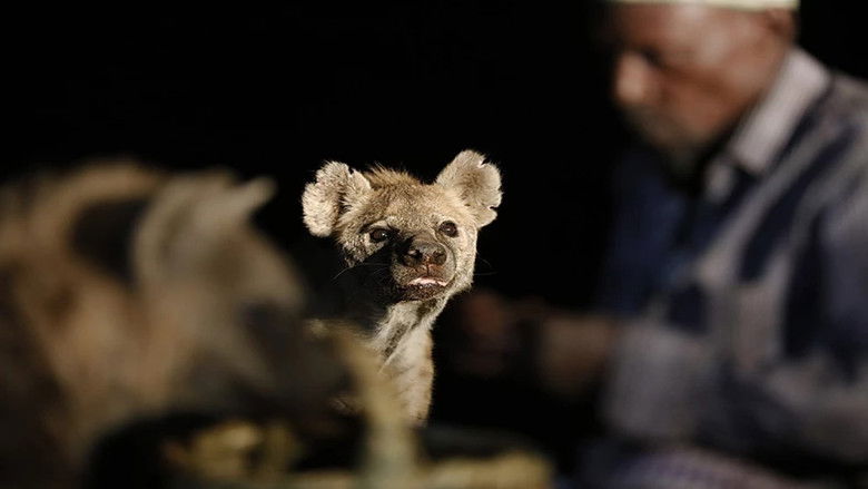 кадр из фильма Les hyènes de Harar