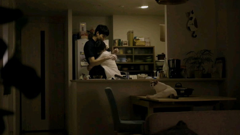 кадр из фильма Асако 1 и 2