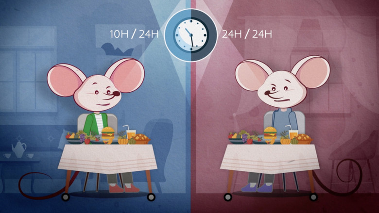 кадр из фильма Le jeûne, enquête sur un phénomène