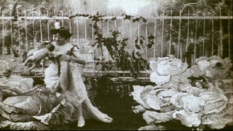 кадр из фильма La fée aux choux