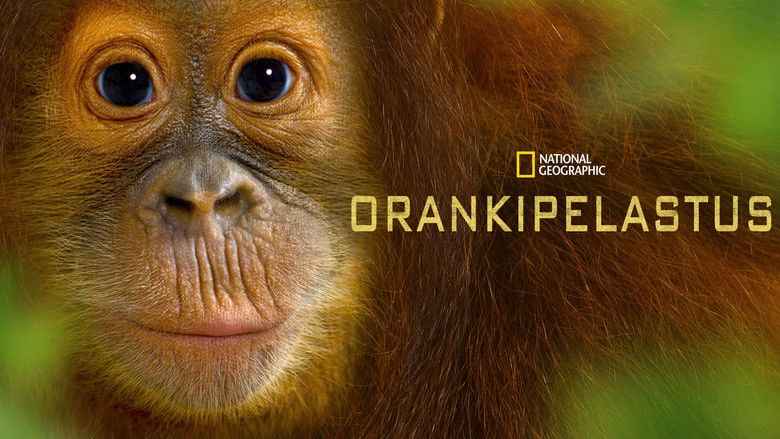 кадр из фильма Operation Orangutan