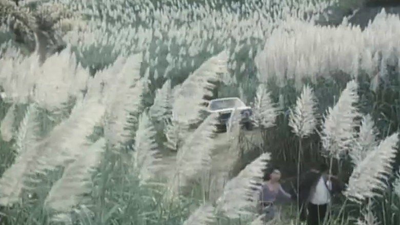 кадр из фильма 冴島奈緒・アクメ記念日