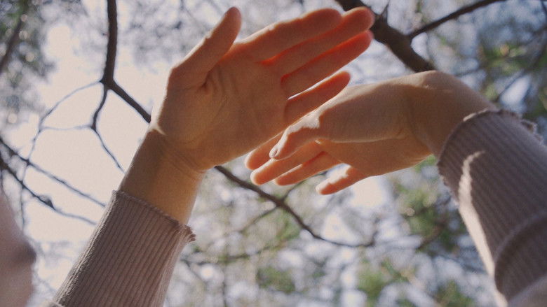 кадр из фильма No Planes Flying