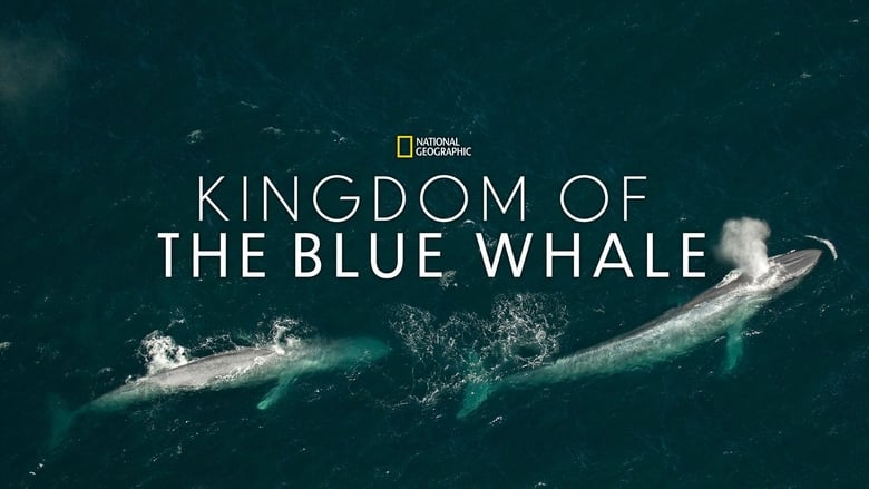 кадр из фильма Kingdom of the Blue Whale