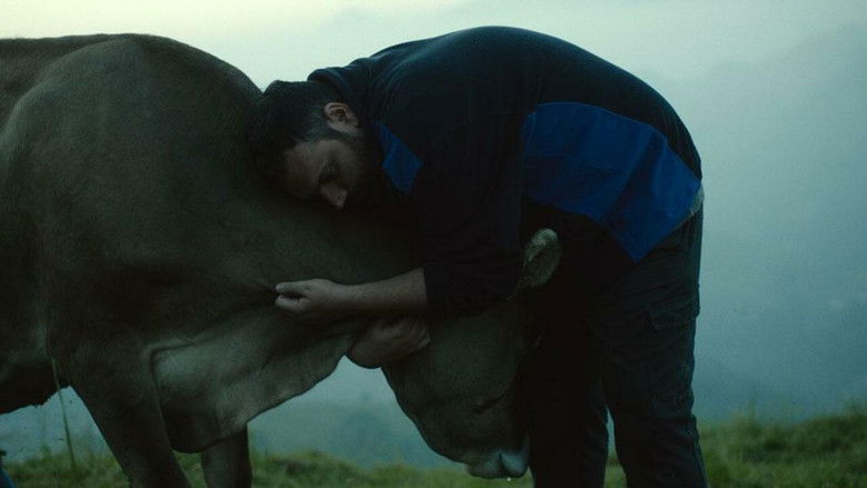 кадр из фильма Уроки любви