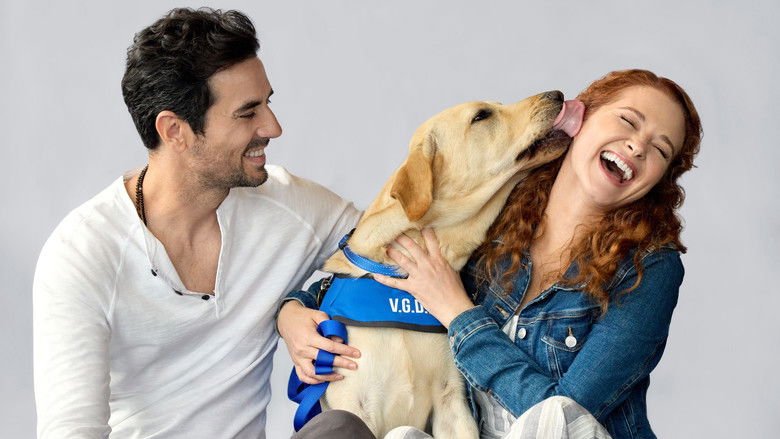 кадр из фильма Guiding Emily