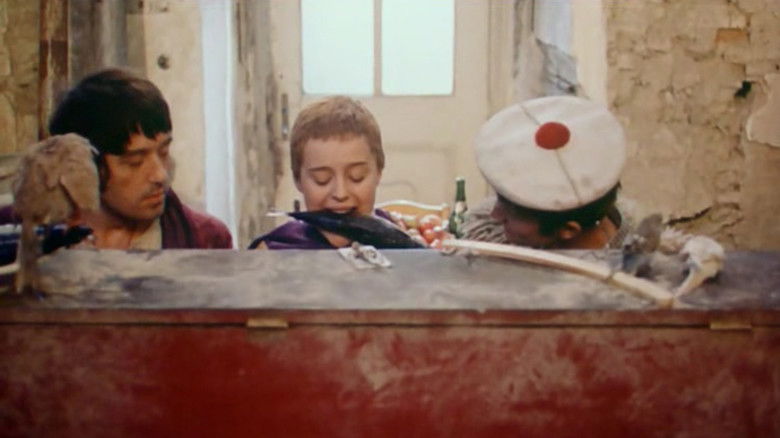 кадр из фильма Птички, сироты и блаженные