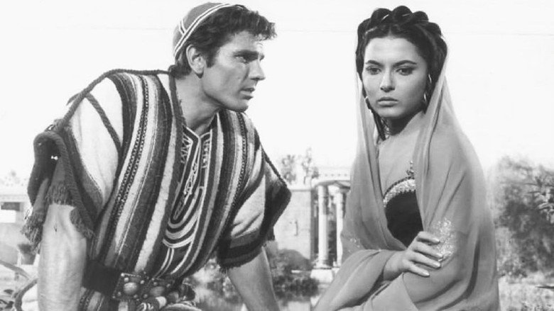 кадр из фильма The Story of Ruth