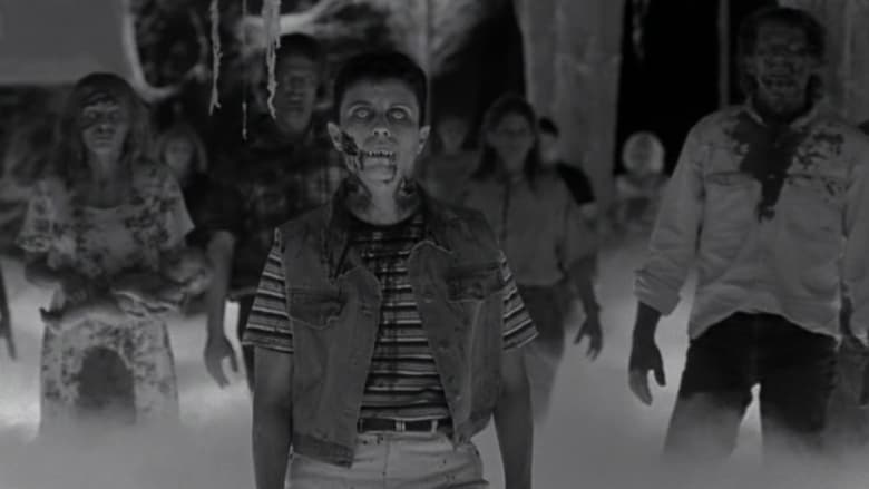 кадр из фильма Ночной полет