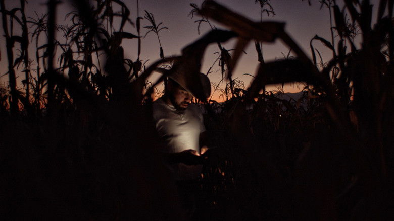 кадр из фильма Jaripeo