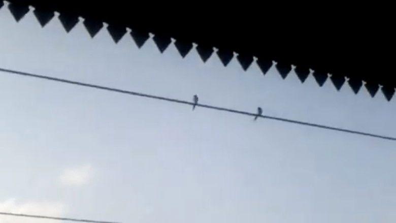 кадр из фильма Moment To Moment