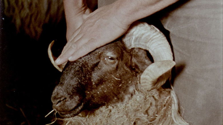 кадр из фильма Gorria