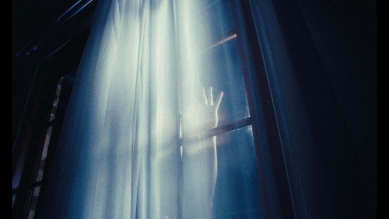 кадр из фильма To Carlos