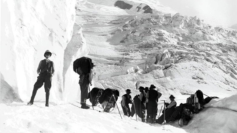 Les Lumières de Vallot