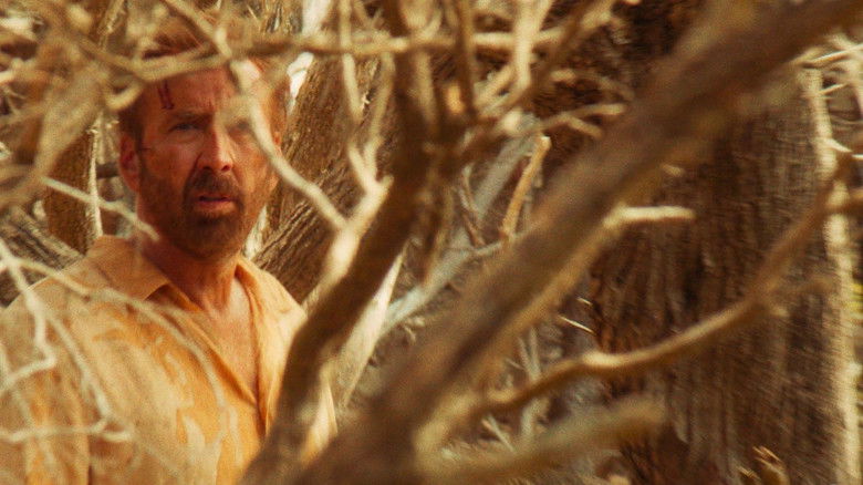 кадр из фильма Сёрфер