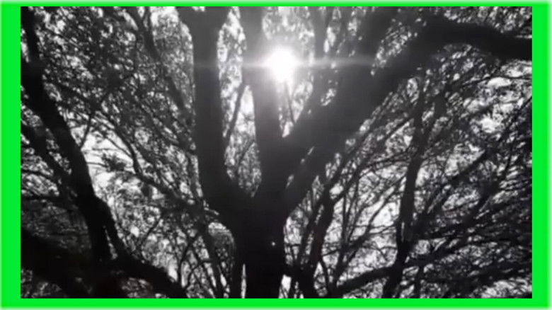 кадр из фильма El Pintor Sin Cara