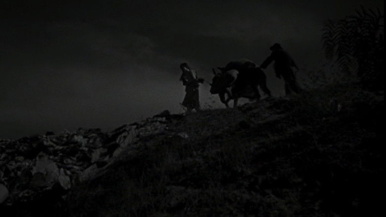 кадр из фильма Забытые