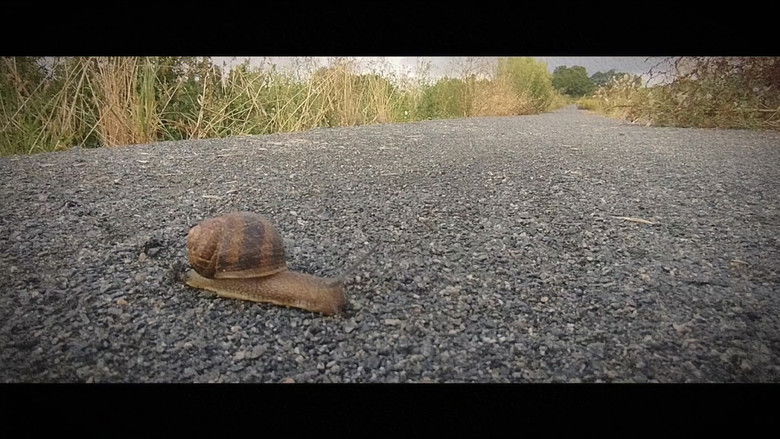 кадр из фильма Wandering: The Art of Noticing