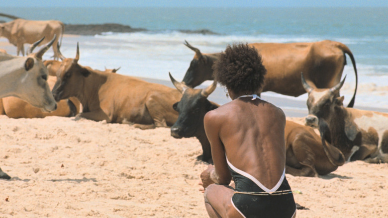 кадр из фильма Я отдыхаю только во время бури