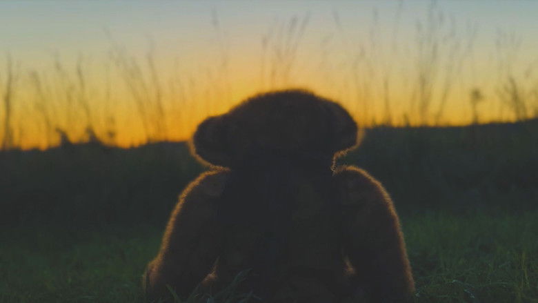 кадр из фильма The Boy and the Bear