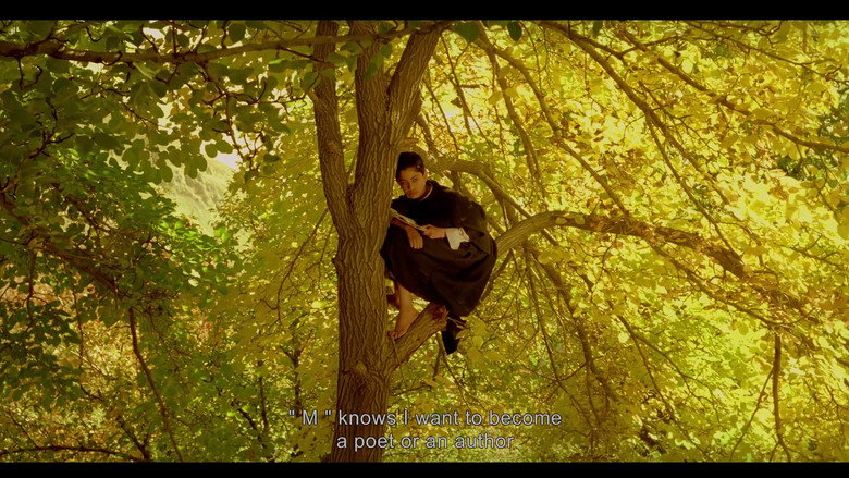 кадр из фильма درخت گلابی