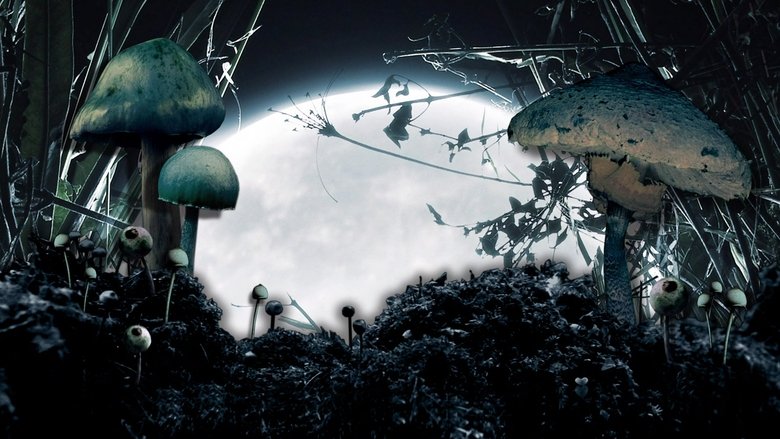 кадр из фильма Грибы