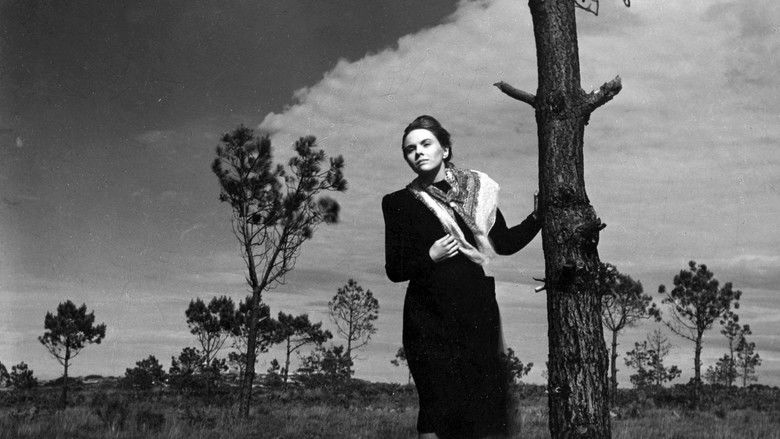 кадр из фильма Pattes blanches