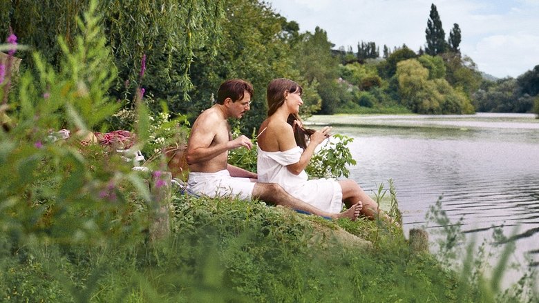 кадр из фильма Обнажённая муза Пьера Боннара