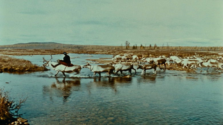 кадр из фильма Письмо из Сибири