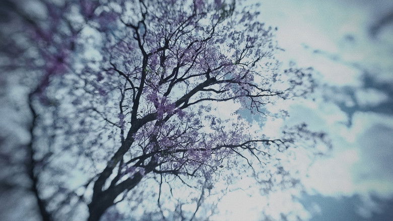 кадр из фильма Una Ceguera Temporal