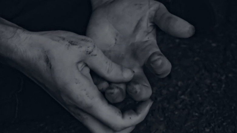 кадр из фильма 34