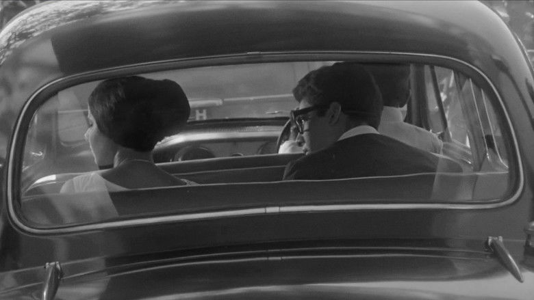 кадр из фильма The Glass Pane