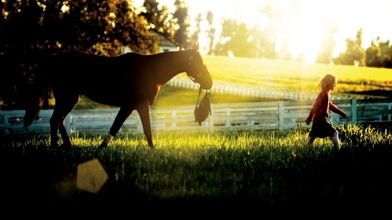 кадр из фильма Мечтатель