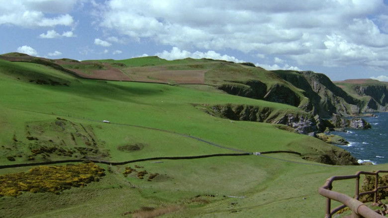 кадр из фильма Линк