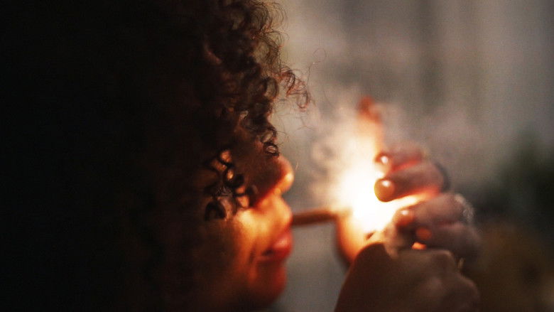 кадр из фильма In Place of Monuments