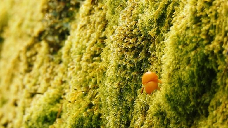 кадр из фильма Respira