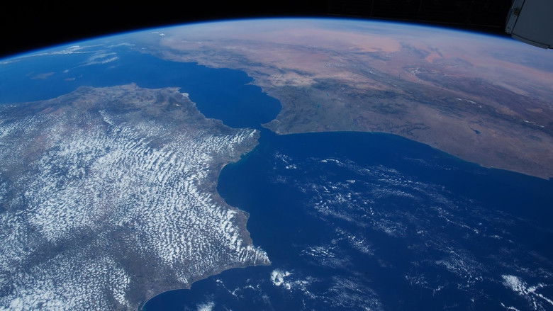 кадр из фильма Прекрасная планета