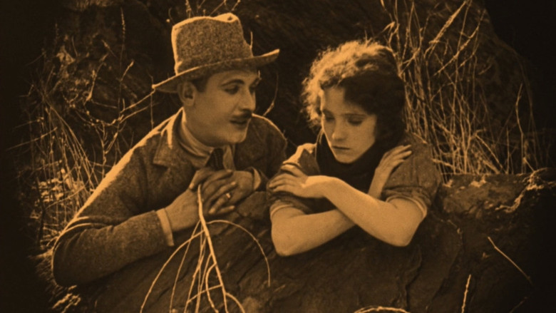 кадр из фильма The Broken Butterfly